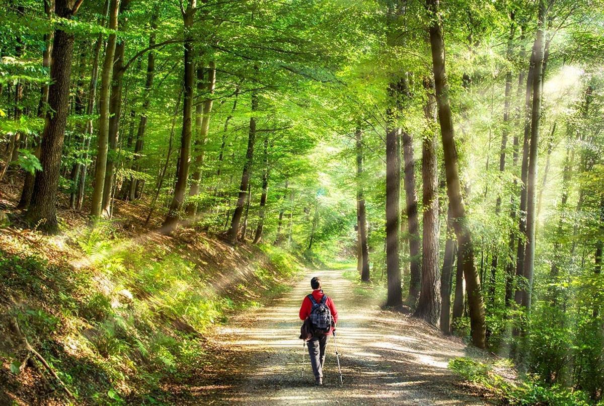 Landgasthof Zum Kirchenwirt Kellberg  Bagian luar foto